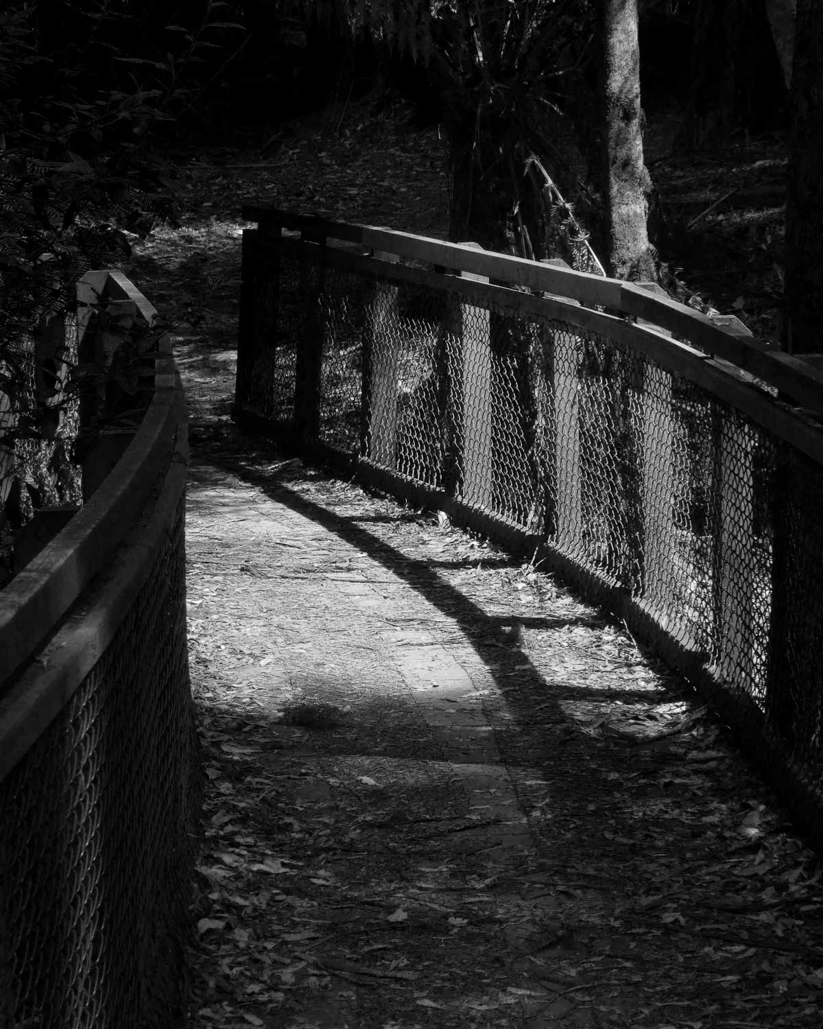 wood-bridge-tasmania-australia tiffany, black and white photographer