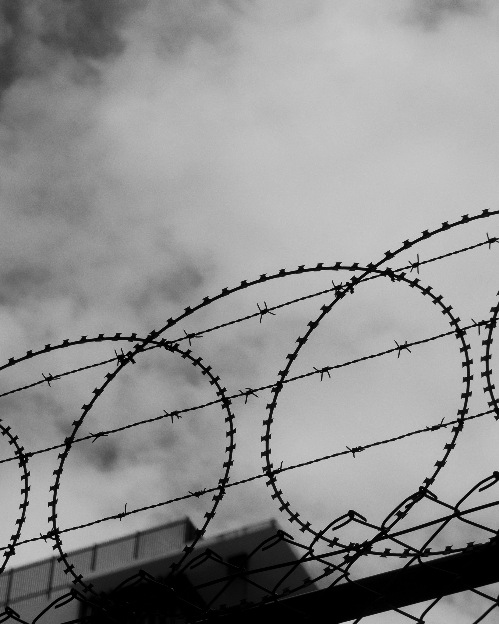 Fine art black and white barbed wire photography print, City series by Tiffany Brillard
